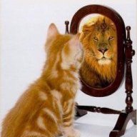fxtopcat