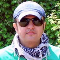 shaho